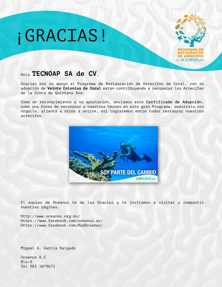 Tecnoap apoya al Programa de Restauración de Arrecifes de Coral